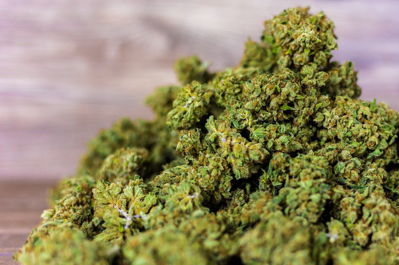 Najpopularniejsze odmiany kolekcjonerskich nasion marihuany