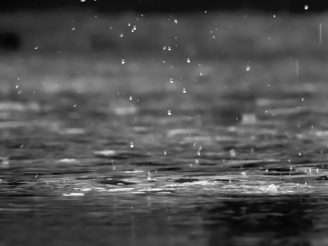 Zbiorniki na deszczówkę – wykorzystaj deszcz do oszczędności wody